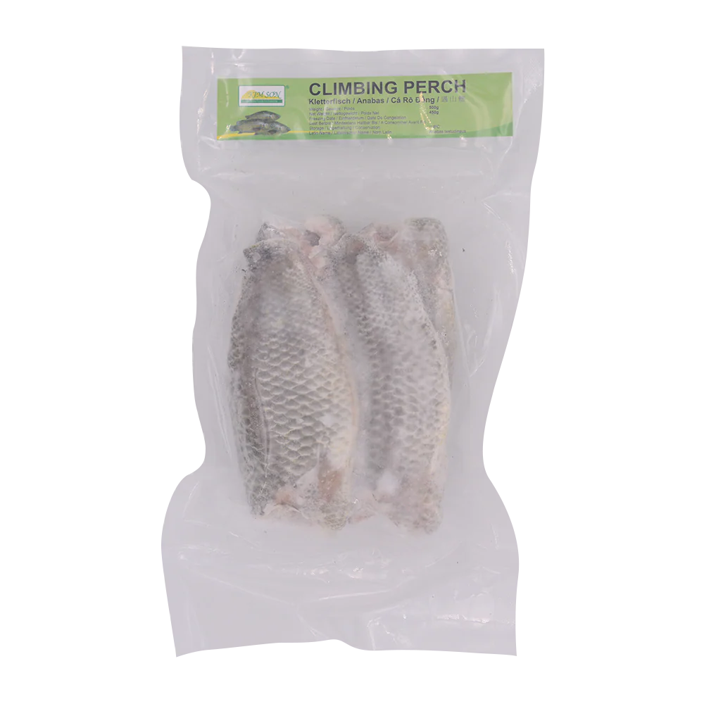 Kim Son Climbing Perch 500g (Frozen)