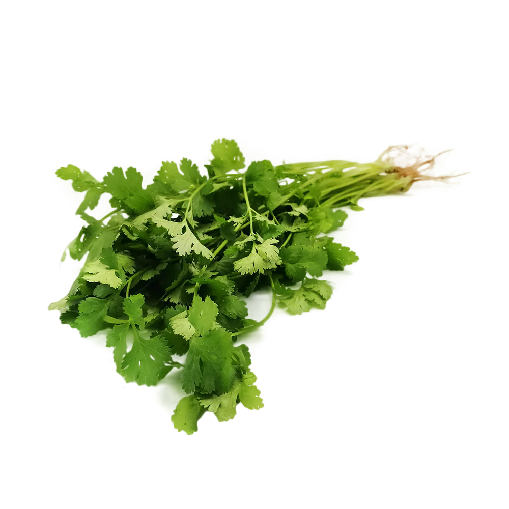 Coriander 100G