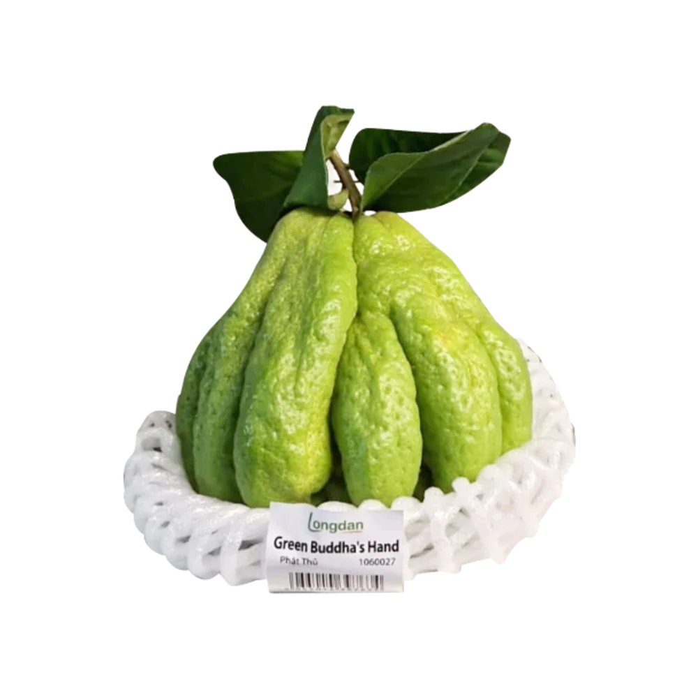 Green Buddha's Hand (Phat Thu)