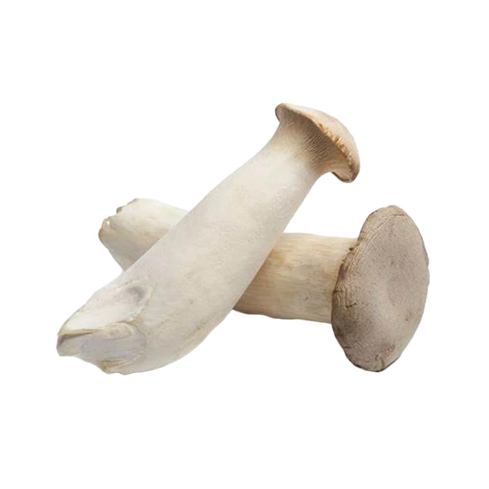 King Oyster Mushroom 200G