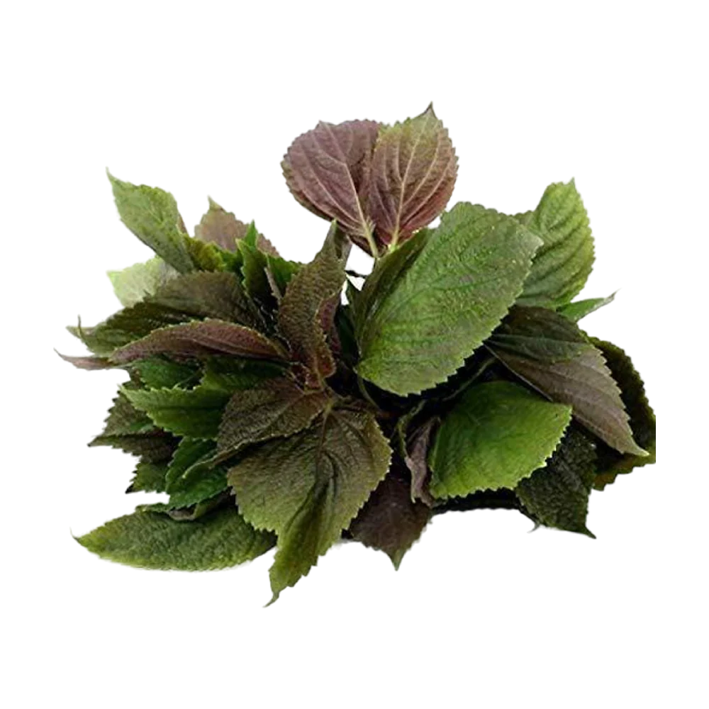 Perilla (Tia To) 100G