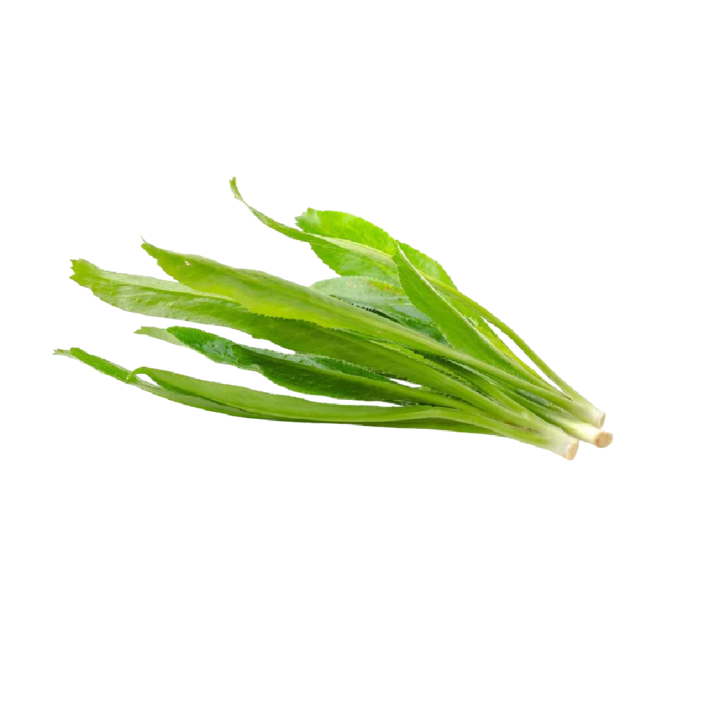 Saw Leaf Herb (Ngo Gai) 100G