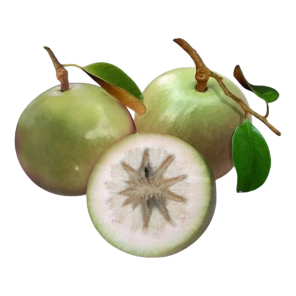 Star Apple (Vu Sua)
